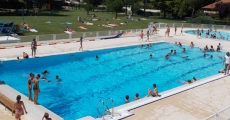 La piscine et son parc ombragé