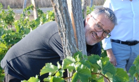 Michel Leblanc, Conseiller municipal, président de la foire aux vins, jaunay-marigny
