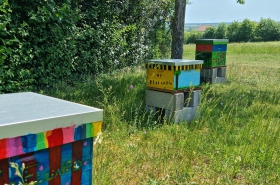 rucher pédagogique, jaunay-marigny, biodiversité, abeilles