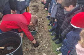 Plantation, vigne, école de Jaunay-Marigny
