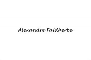 Découvrez Alexandre Faidherbe |Entreprise à Jaunay Clan