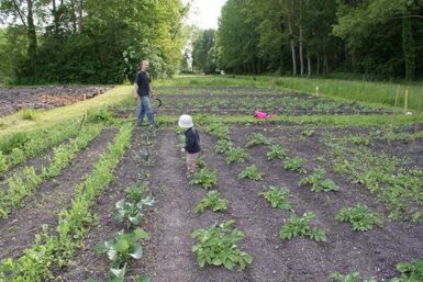 Famille cultivant son potager
