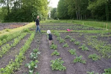 Famille cultivant son potager