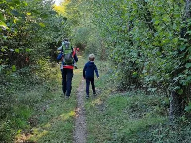 Famille vue de dos pratiquant la randonnée dans un sous-bois.