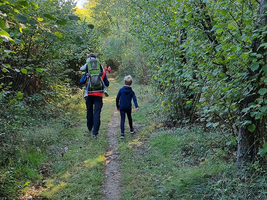 Famille vue de dos pratiquant la randonnée dans un sous-bois.