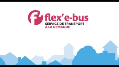 Service de transport Flex e bus de Vitalis