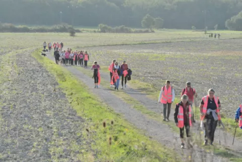 randonneurs habillés en rose dans les chemins de Marigny lors de la rando cours eoctobre rose de 2023