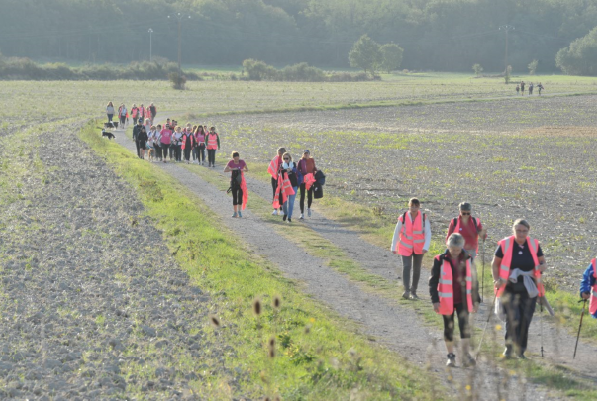 randonneurs habillés en rose dans les chemins de Marigny lors de la rando cours eoctobre rose de 2023