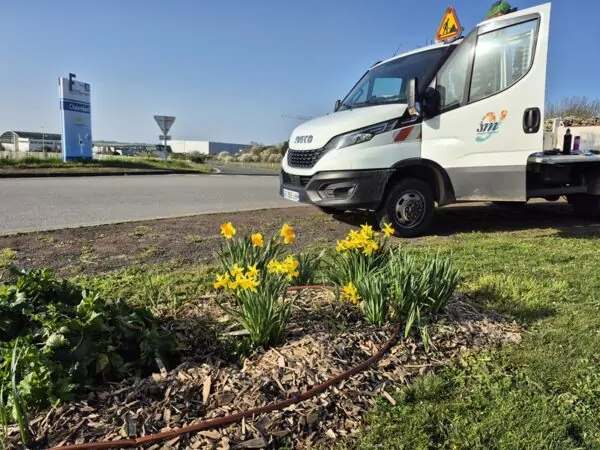 Au premier plan un massif avec des jonquilles sur lequel est posé un système d'arrosage par goutte à goutte. Au second plan un véhicule des espaces verts avec le logo de Jaunay-Marigny.