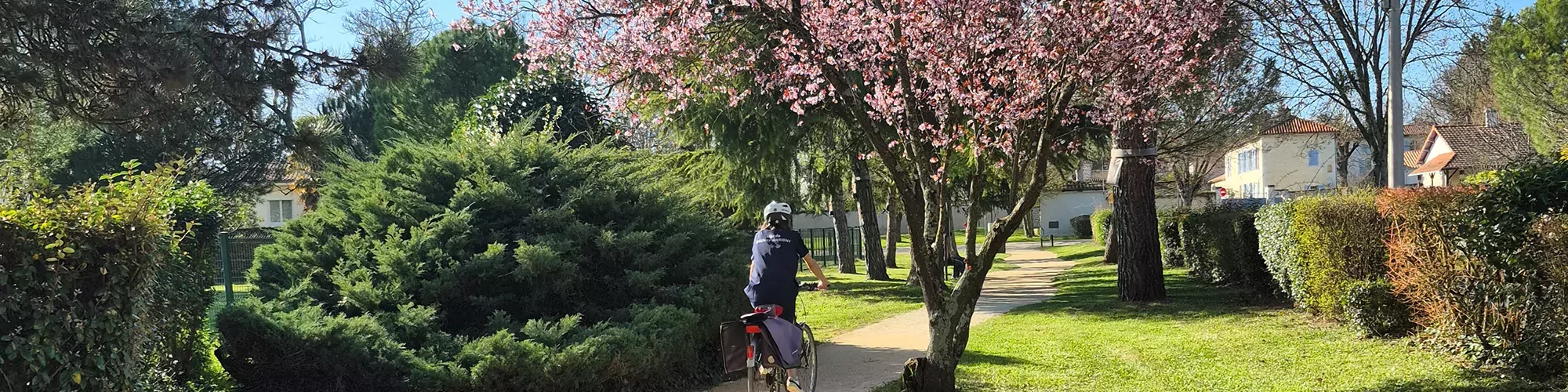 Cycliste sur le chemin le long de la piscine avenue gérard girault