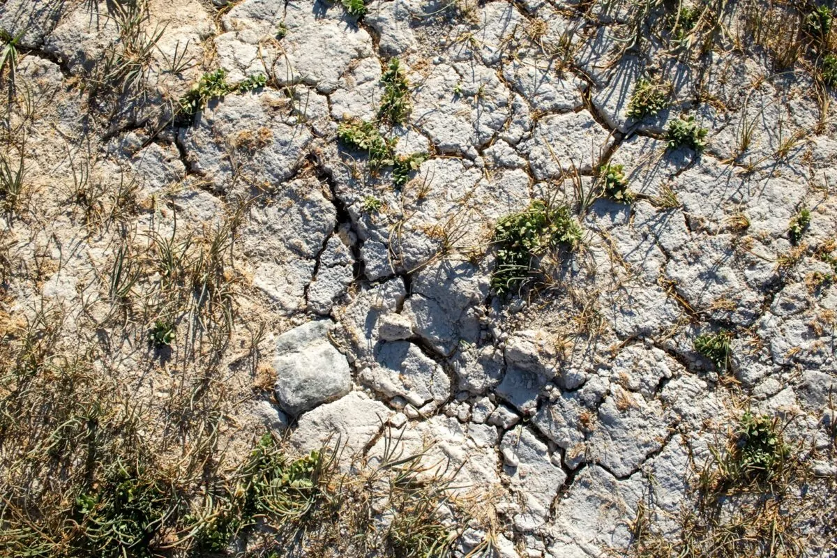 Terre craquelée par manque d'eau avec quelques herbes sèches