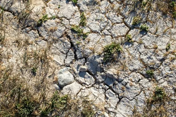 Terre craquelée par manque d'eau avec quelques herbes sèches